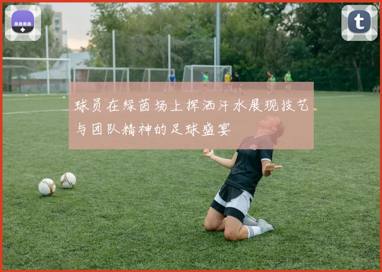 球员在绿茵场上挥洒汗水展现技艺与团队精神的足球盛宴