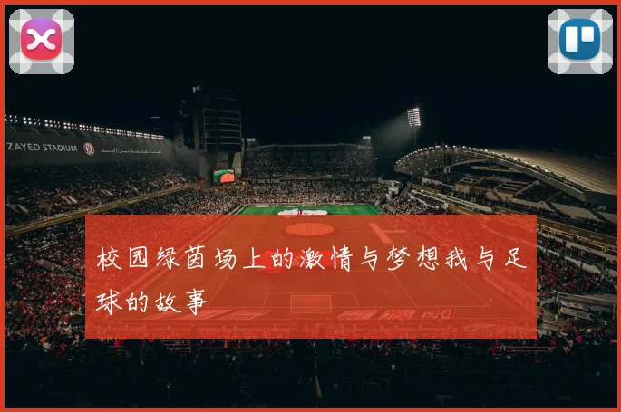 校园绿茵场上的激情与梦想我与足球的故事