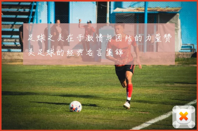 足球之美在于激情与团结的力量赞美足球的经典名言集锦