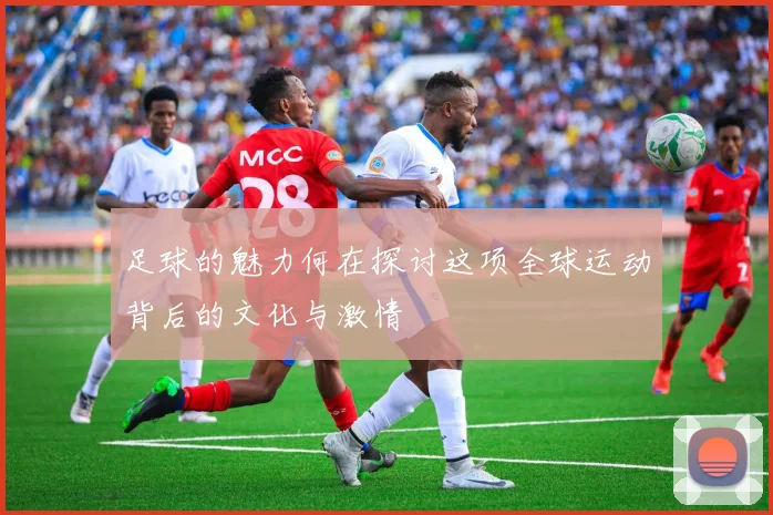 足球的魅力何在探讨这项全球运动背后的文化与激情